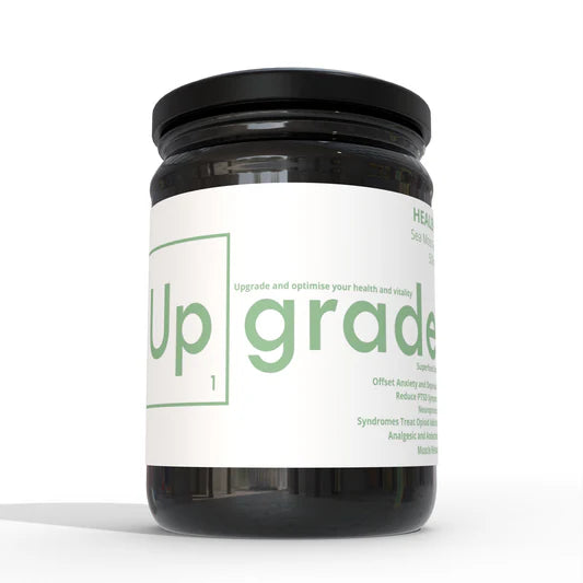 Healer – CBD Infused Sea Moss Gel